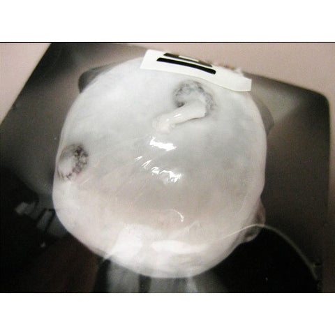 Kameyama Realistic Candle Series – Wagashi Style