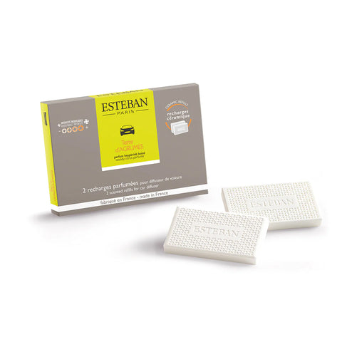 Esteban Car Fragrance – Vent Diffuser