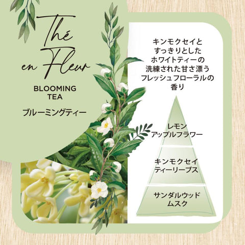Esteban Incense Sticks – Interior Garden Series, 40 Sticks