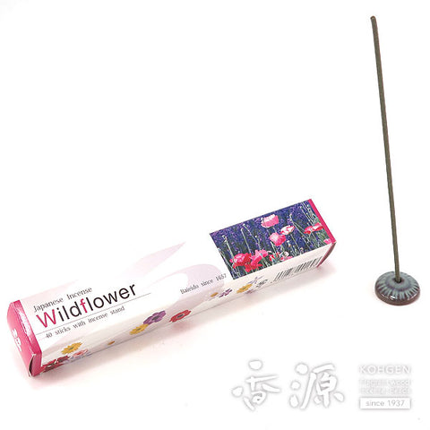 Baieido Incense Sticks, Imagine Series, 40 sticks