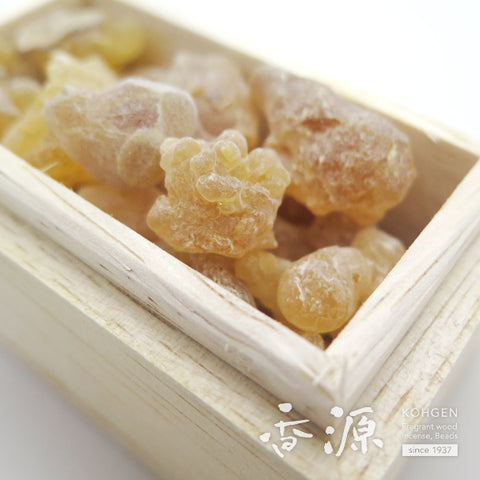 Omani Frankincense (Nyukoh) Incense Material – Resin