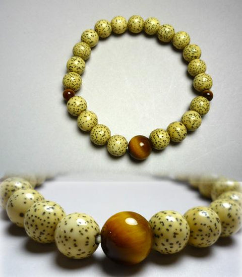 Star Moon Bodhi Seed Bracelet, Tiger's Eye Finish