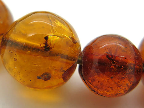 Men's prayer beads, natural insect-inclusion amber, 18 beads