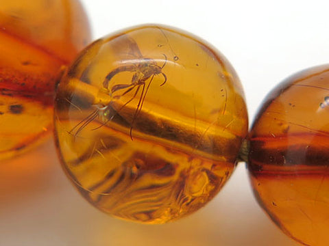 Men's prayer beads, natural insect-inclusion amber, 22 beads