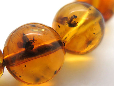 Men's prayer beads, natural insect-inclusion amber, 22 beads